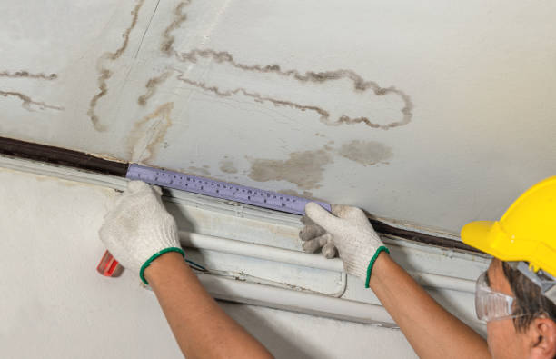 Affordable Ceiling Water Damage Repair solutions in Twin Lake, MI